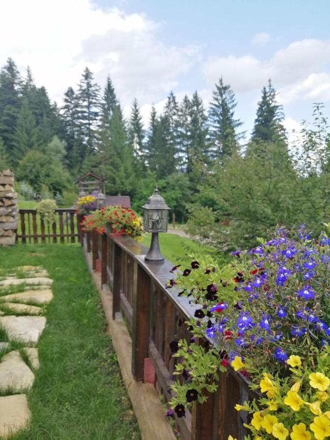 Casa Verde Voronet Dış mekan fotoğraf