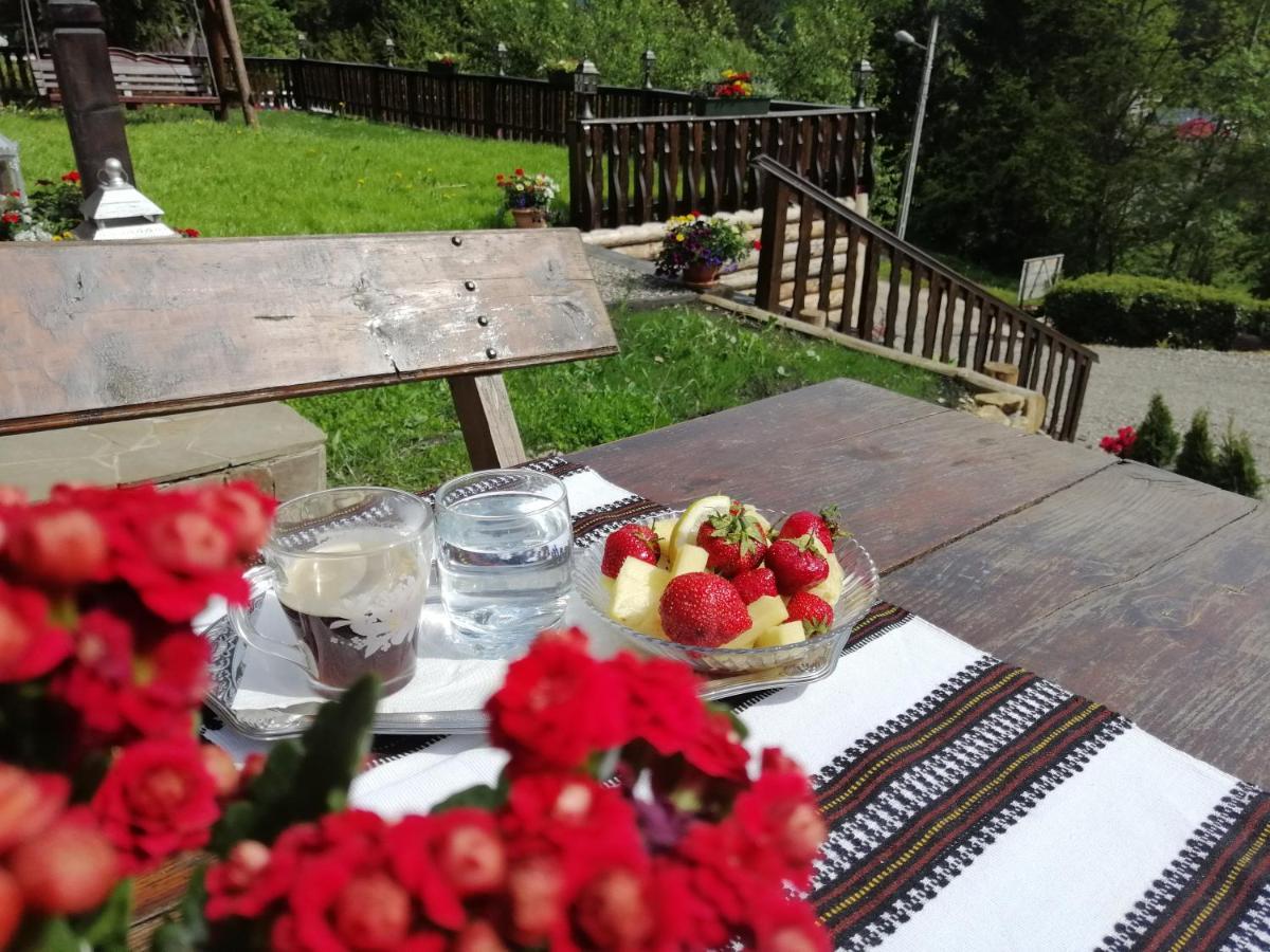Casa Verde Voronet Dış mekan fotoğraf